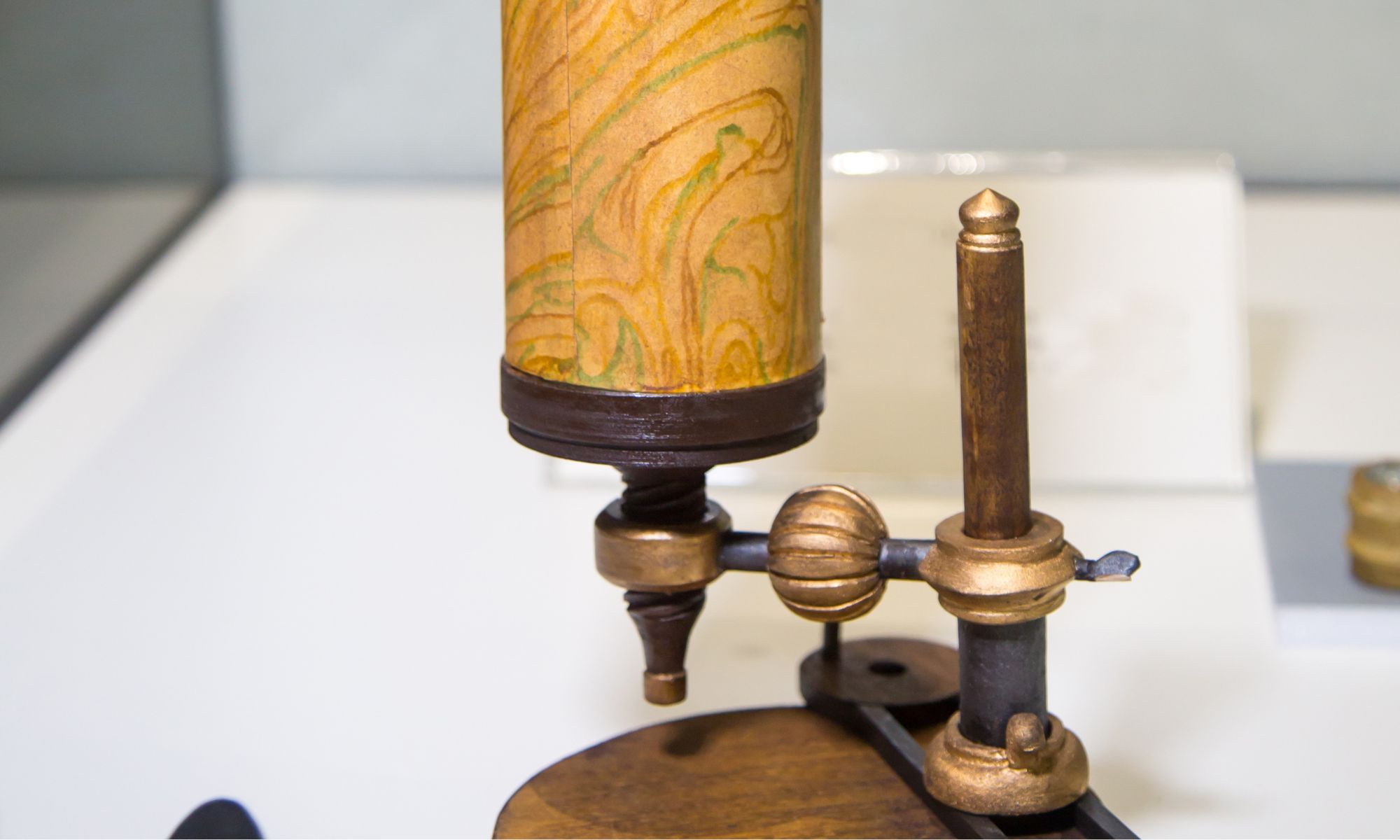Van Leeuwenhoek's rich legacy endures three centuries on | Laboratory News