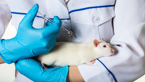 Study delivers animal replacement method for vaccine testing