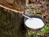 Rubber markets continue to gain as recovery picks up