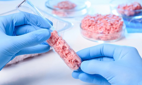 The trend of embracing cell-cultivated meat is on the rise cell-cultivated meat