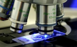 Microscope